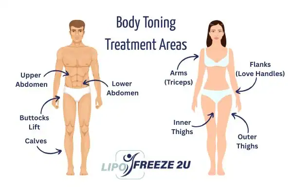 Graphic showing where you can have Body toning Treatment Willesden on your body